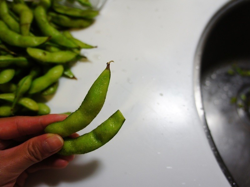 ����ë���Ե�����