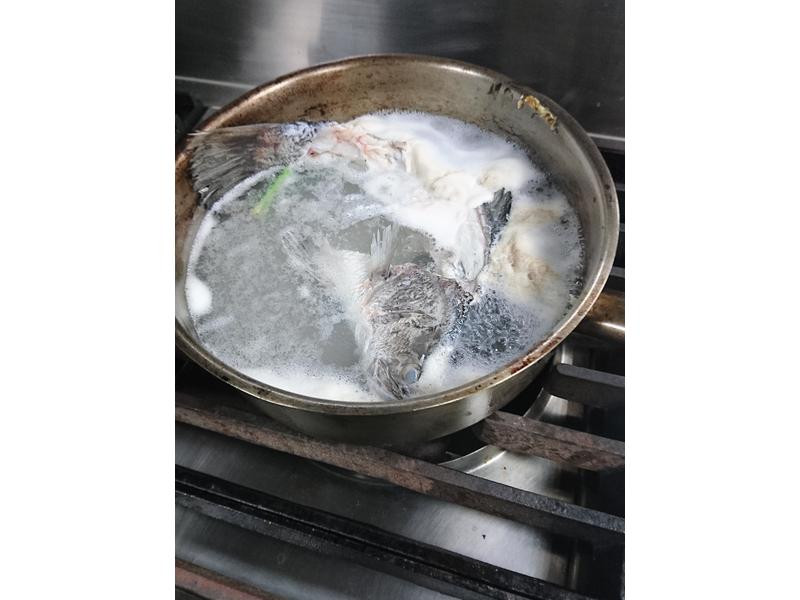 ��Ģ�������ŵ�����