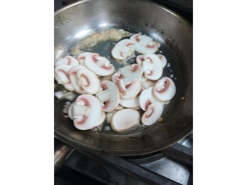 ��Ģ�������ŵ�����