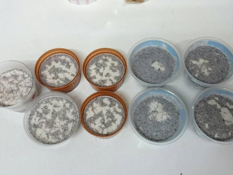 ֥�������ҵ�����