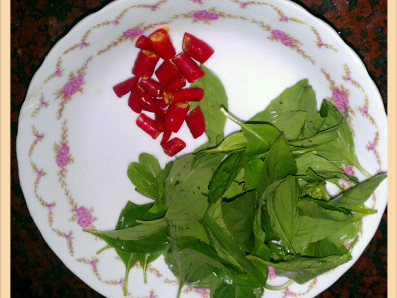 ɳ��ţ��ţ��˿������