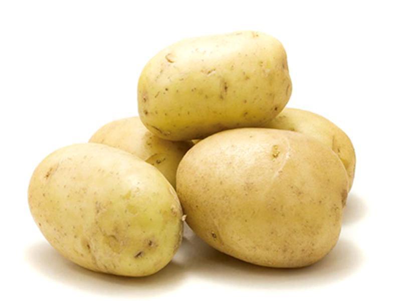 ʲ�������ٻ������