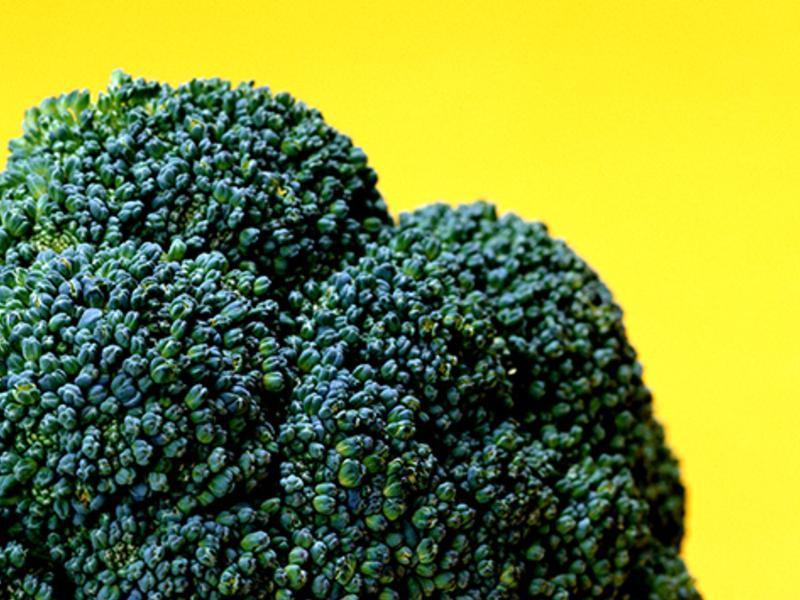 ʲ�������ٻ������