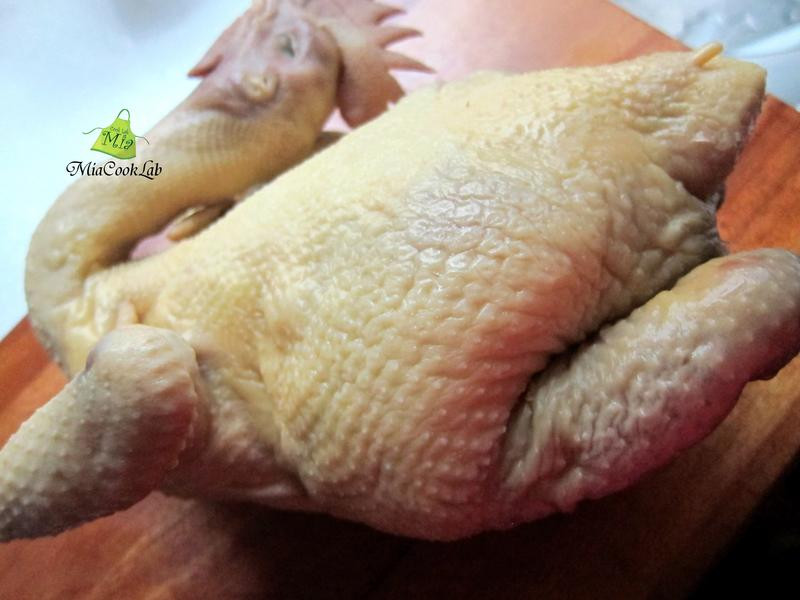 �齴��˿������