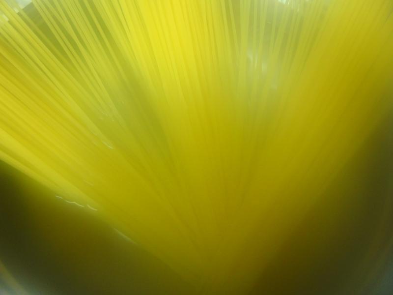 ��Ƭ����������������