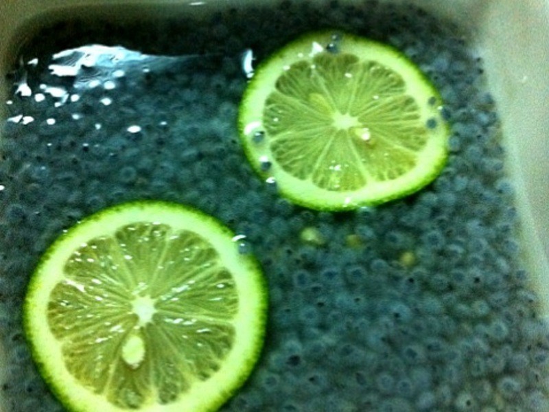 ����è~�Ҹ����~����ɽ��Բ�����Ӿ���ɵ�����