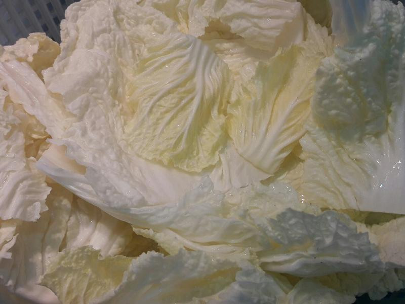 �ײ˺��ܲ��������