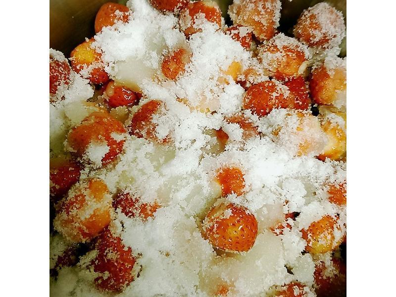 һ���Ų�ݮ����(��ݷ�ζ)������