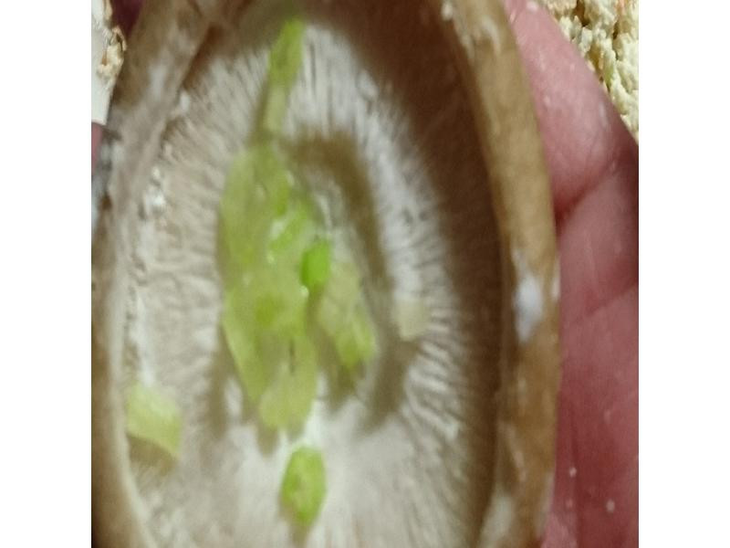 ���㹽�ⶹ��������