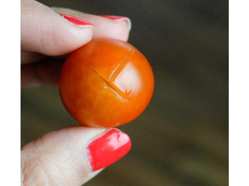 ����Сެ�ѵ�����