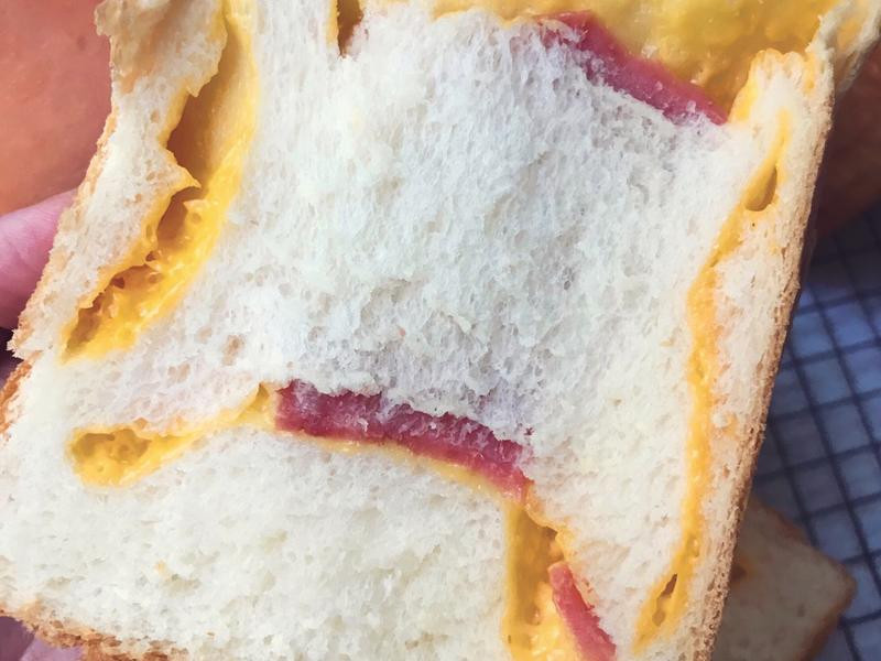 �Ÿ���˾������˾������