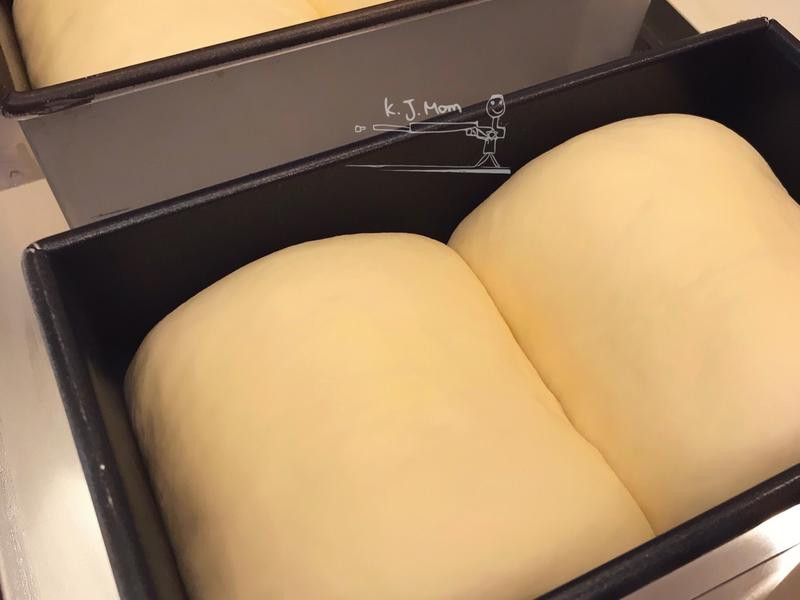 �Ÿ���˾������˾������