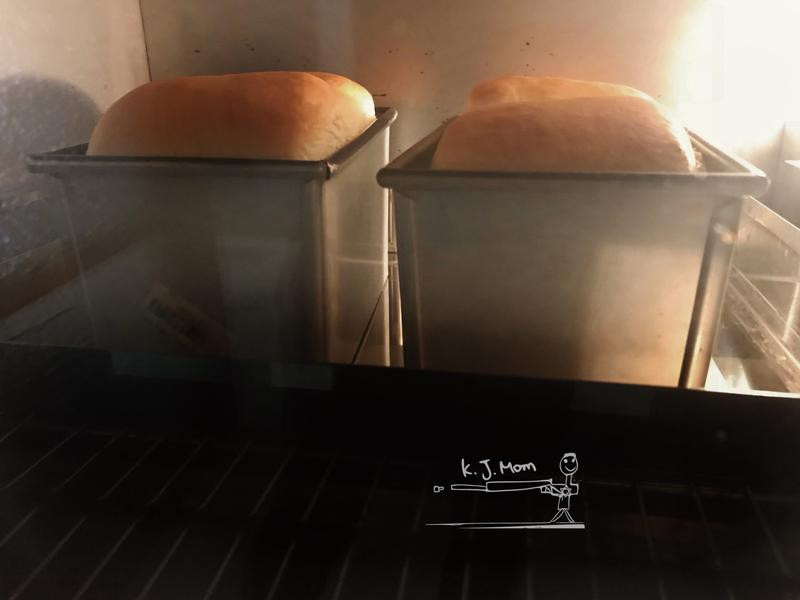 �Ÿ���˾������˾������