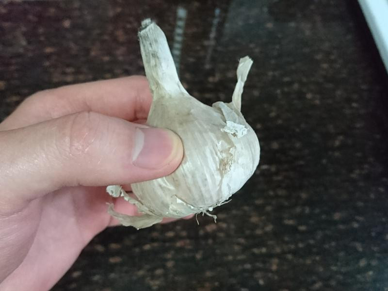 ��ζӡ�ȿ���������