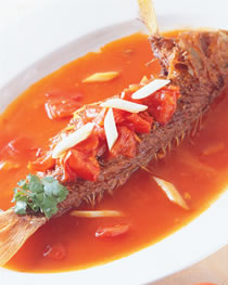 ެ�Ѻ����������