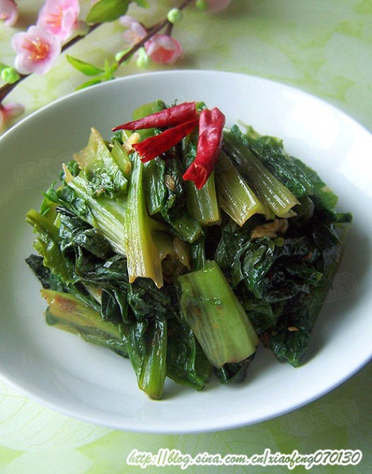 ���꽴������˵�����