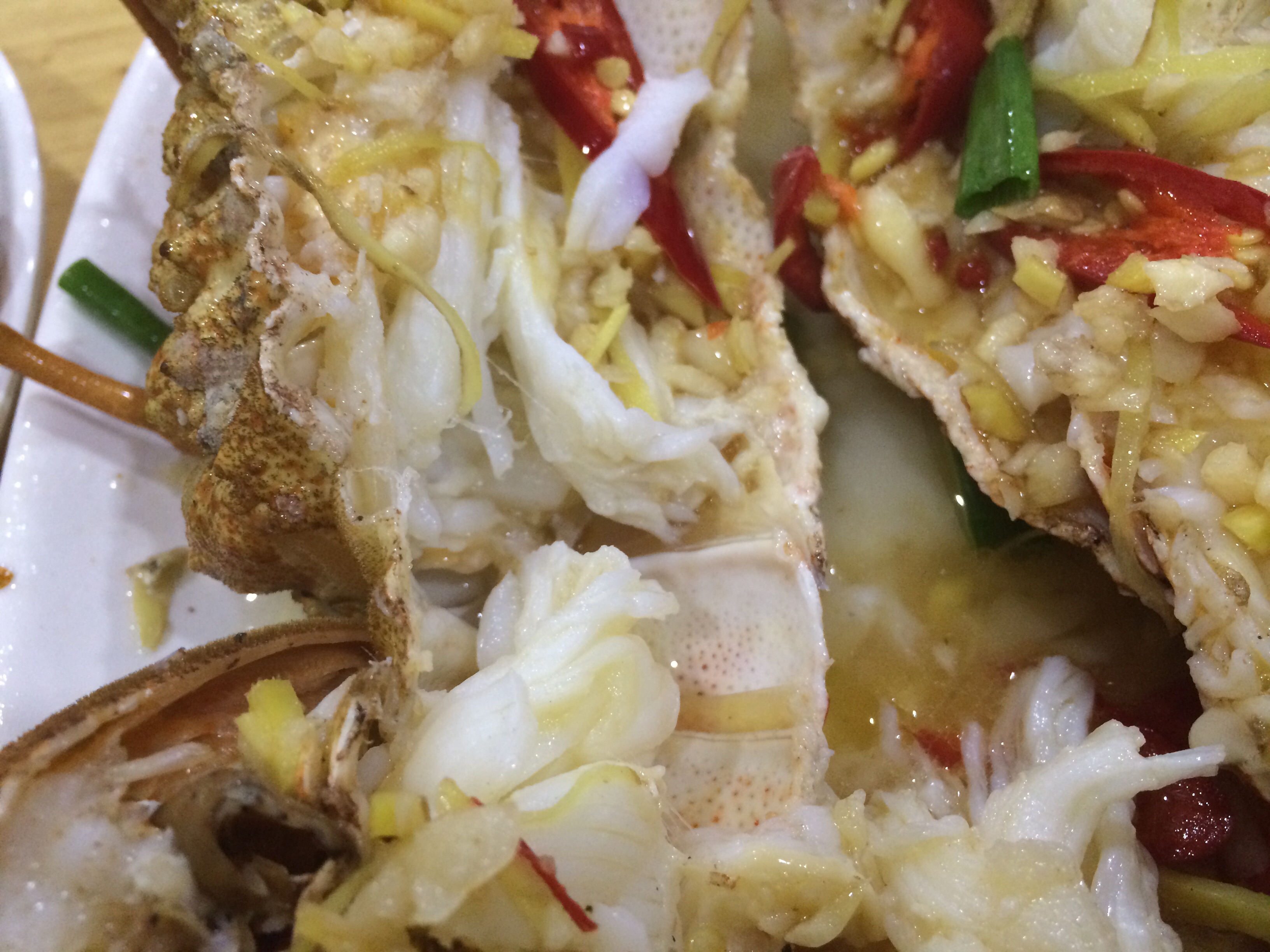 ������ս����Ϻ��������������������������