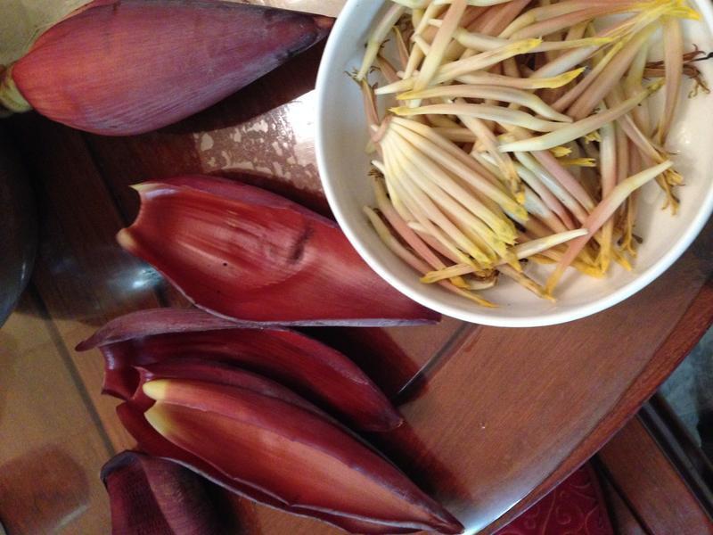 �����㽶��������