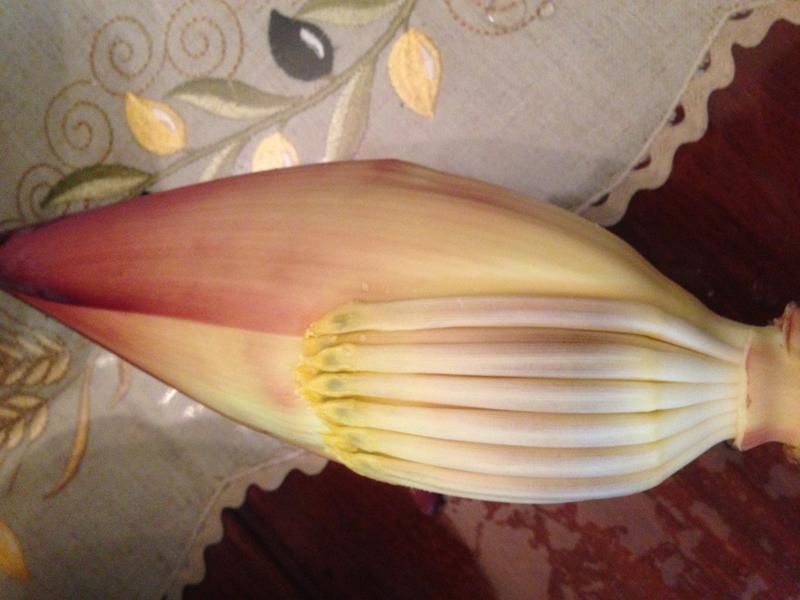 �����㽶��������