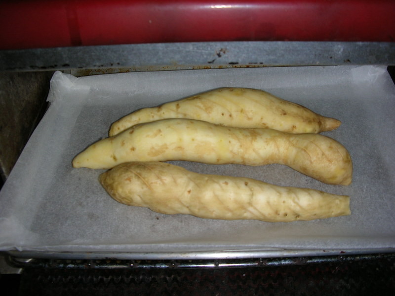 ����عϾ������������������