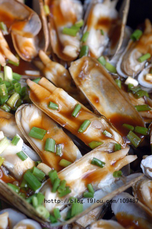 �������ӵ�����