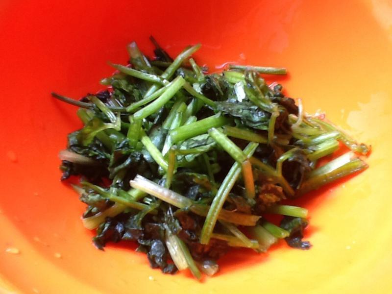 �����ܲ�˿������