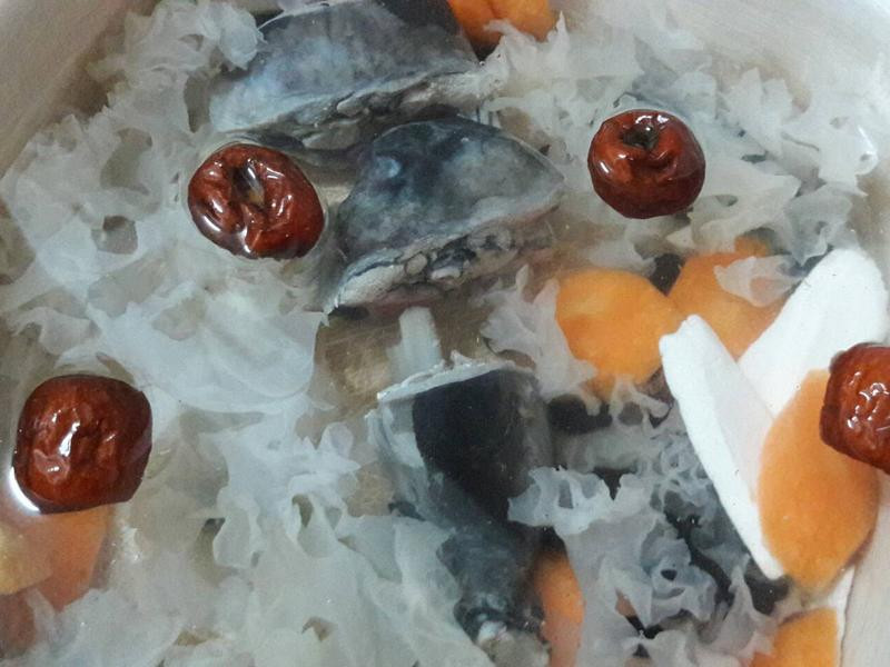 �������ŵ�����