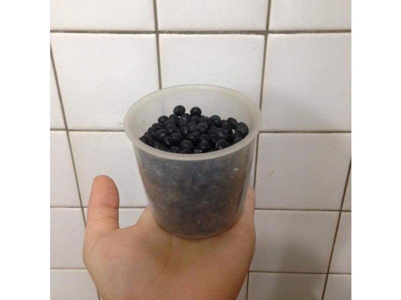 ����-�ڶ�ˮ������