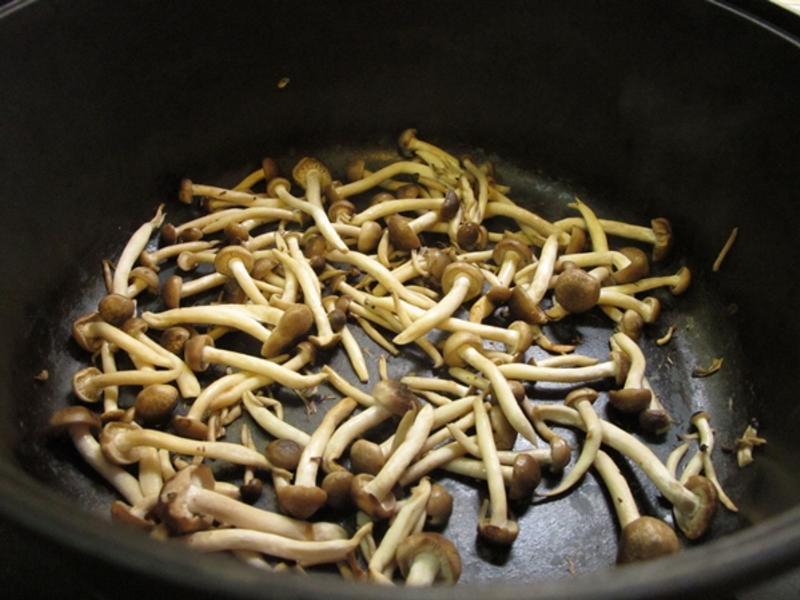 ���͹�������������