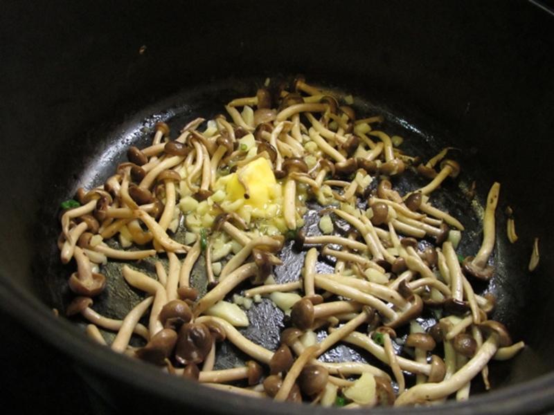 ���͹�������������