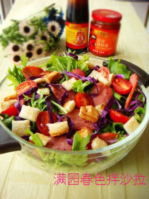 ��԰��ɫ��ɳ��������