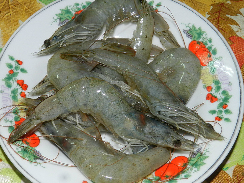 ������Ϻ��������