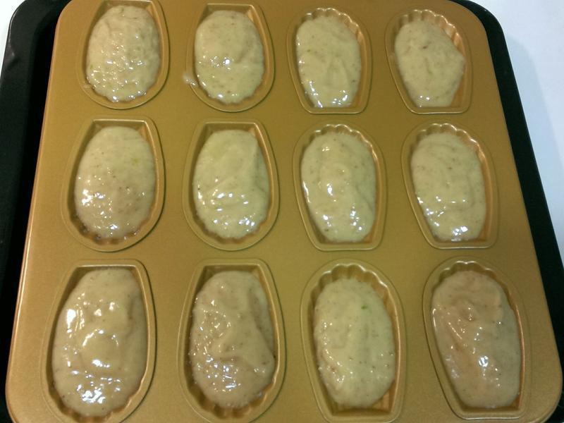 ���������Madeleines������