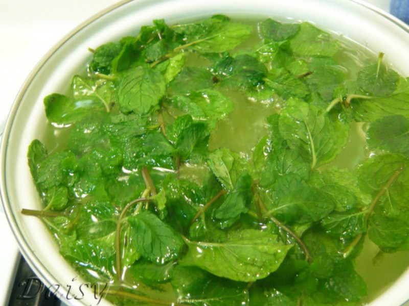 ���۱��ɲ�~Daisy���������