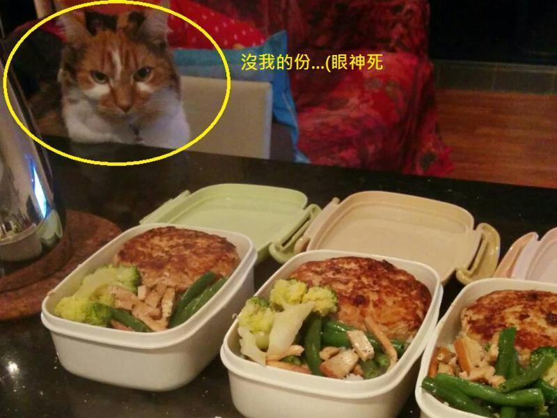 ���ӵ����ս������⺺���ŵ�����