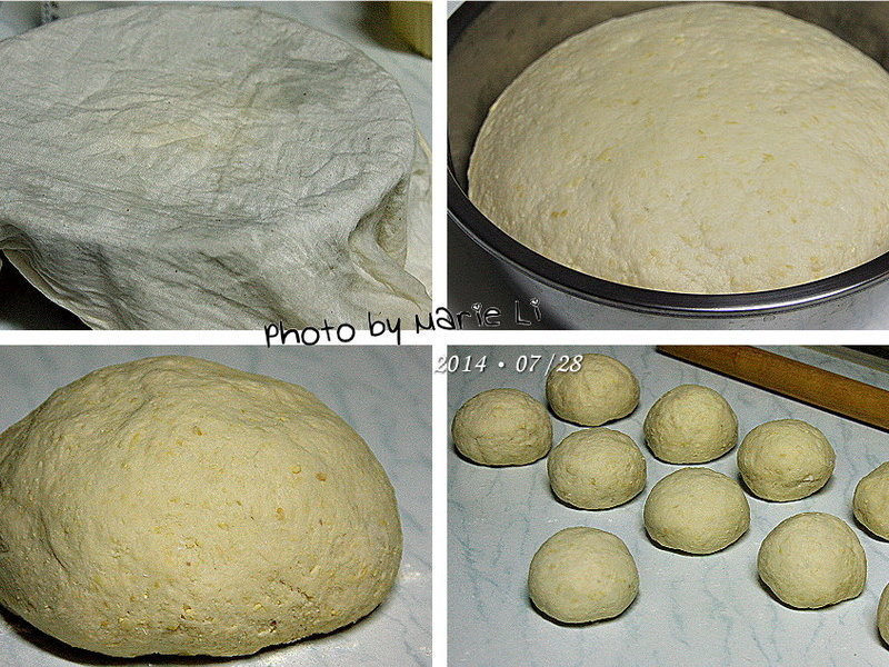 ��������������ţ(����)����������