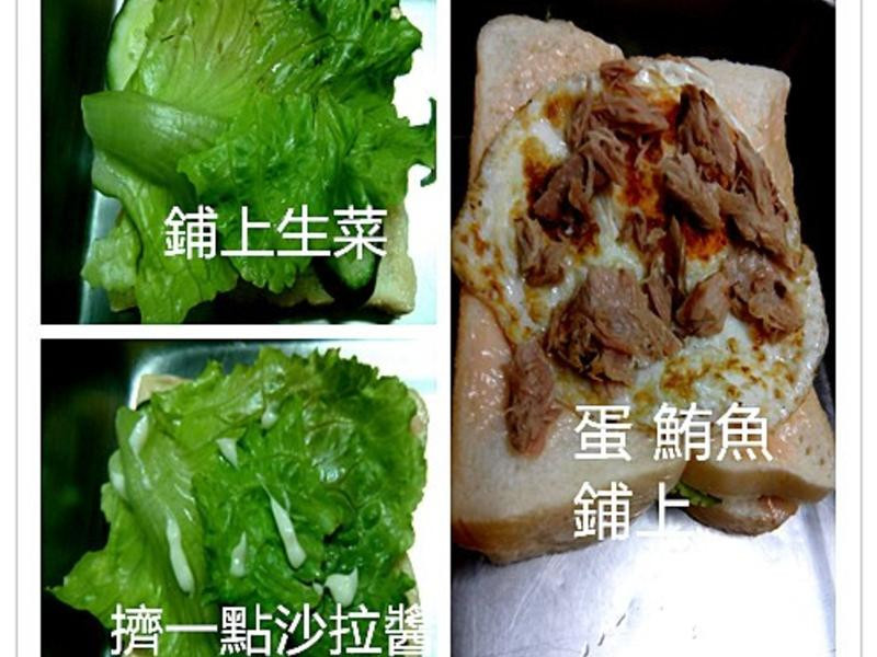 �ص�ɳ���������ε�����