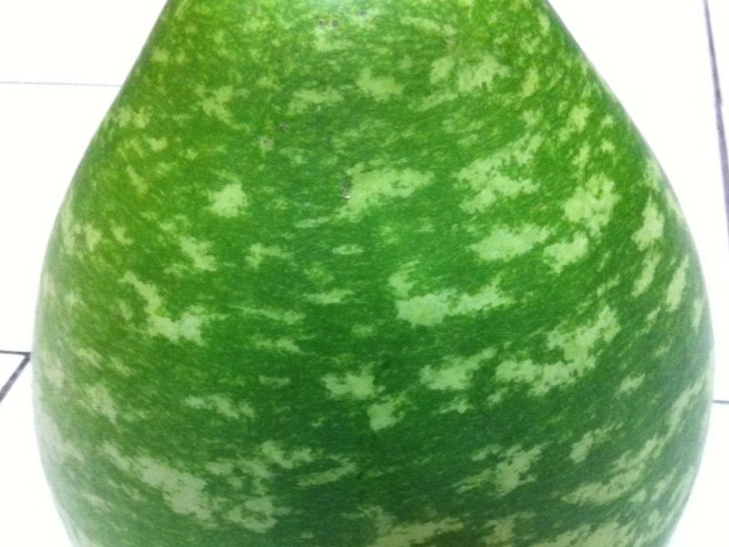 ��ӣ��Ϻ���������