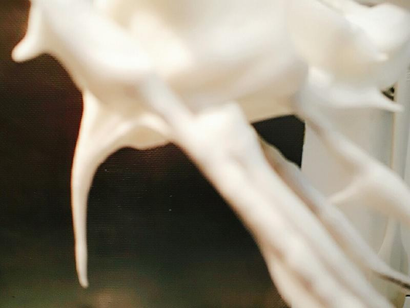 ��ݮƻ���ݷ絰�������