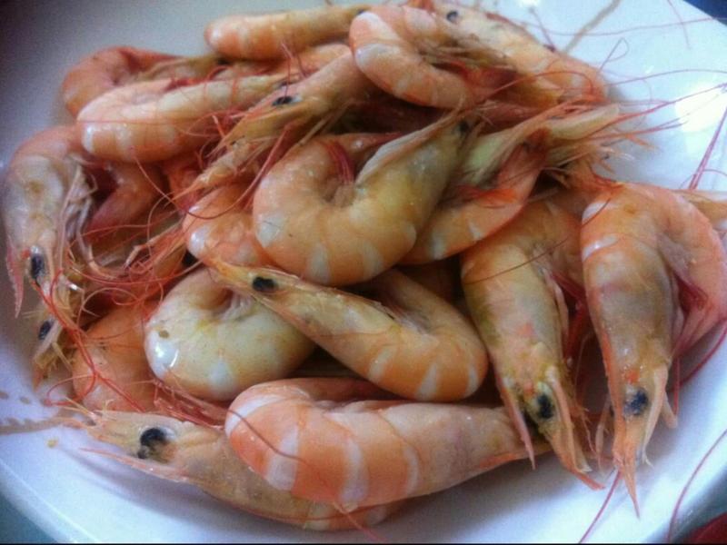 �h����Ϻ������