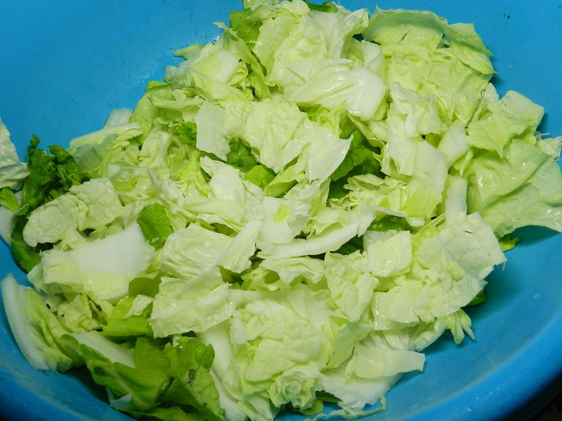 ��������ò���~��ײ˳���������