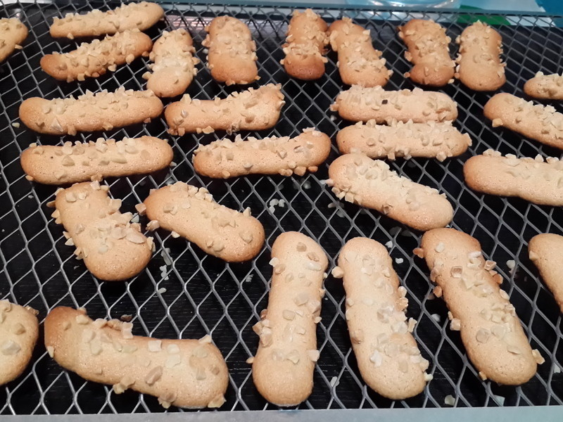 �������ʴ�����������