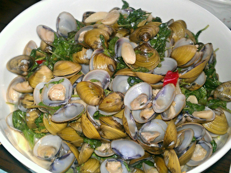 ̩ʽ�㳴��е�����