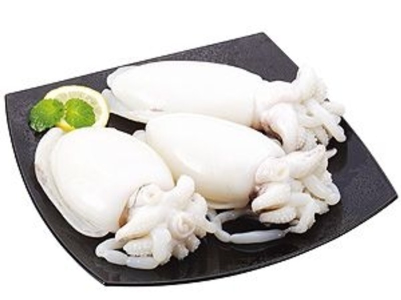 ̩ʽ���ʻ�֦������