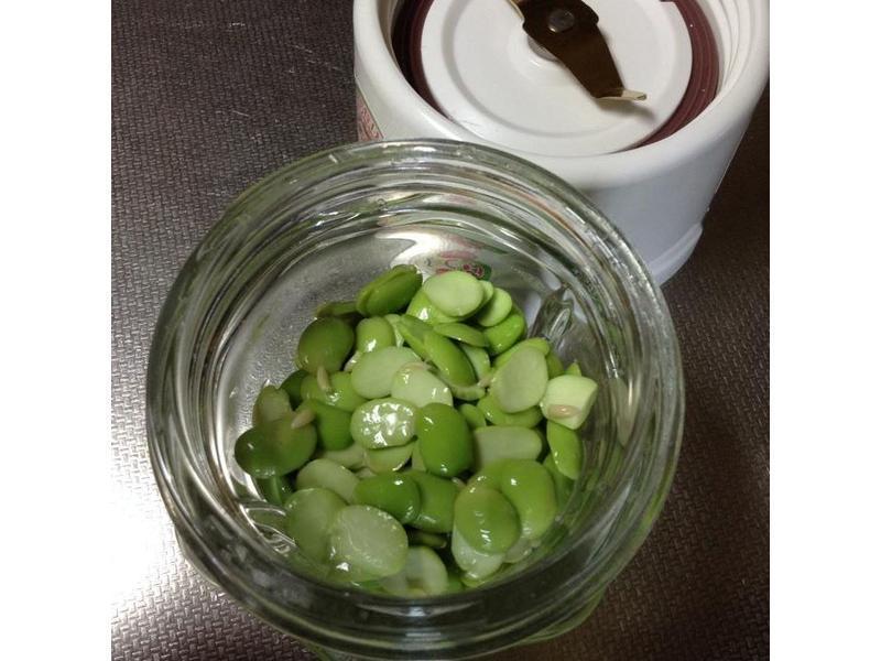 ë��ţ�����������