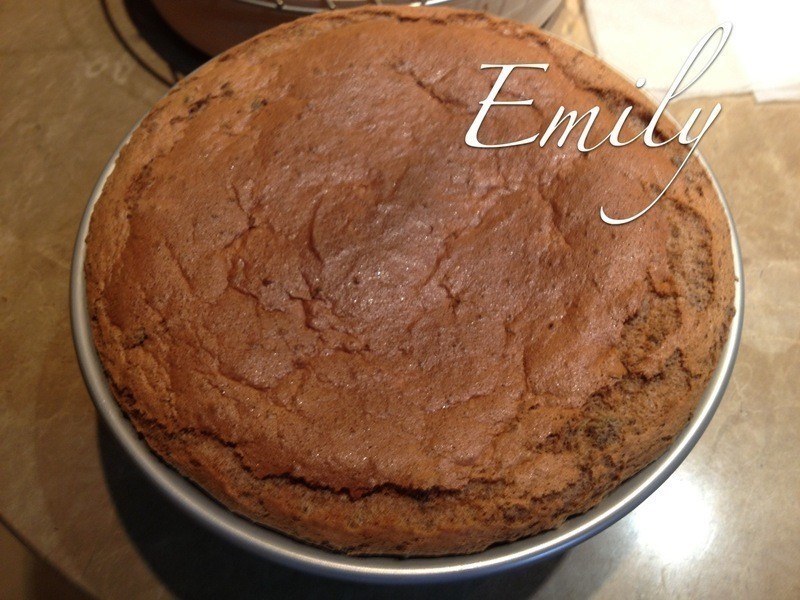 ʥ���Ϲ���������~�ɿ������������