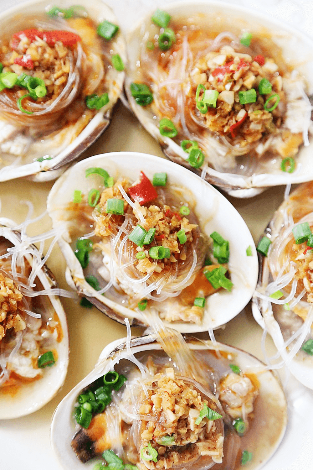 ɳ������������������