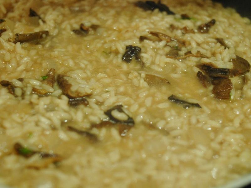 ��ʽĥ������������