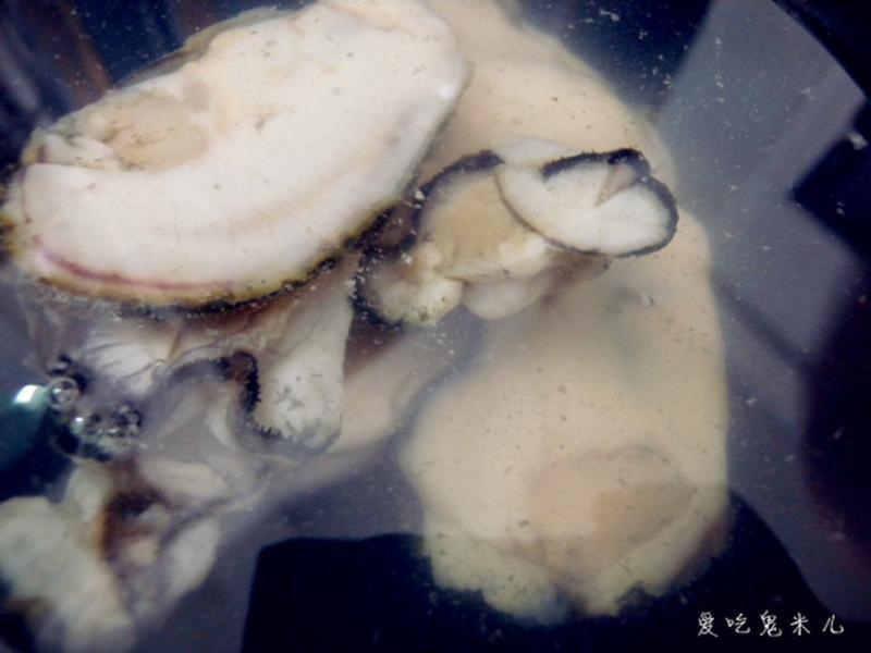 ����ĵ�ö���������