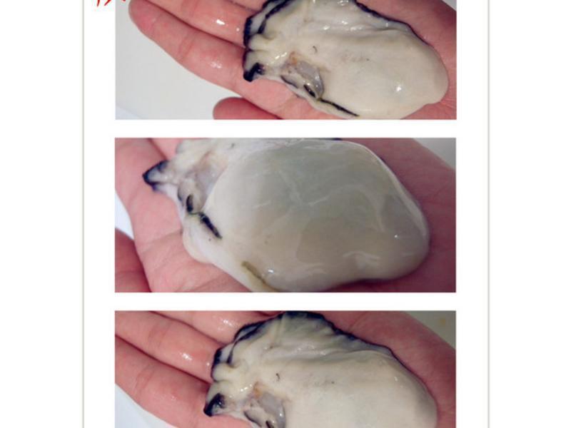 ����ĵ�ö���������